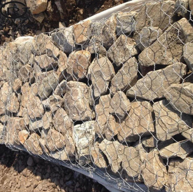 The Breathing Flexible Engineering: Ecological Aesthetics and Long-term Protection of Gabion Mesh